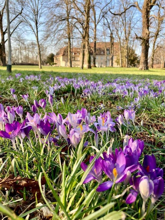 Ferienhaus Ferienwohnung Potsdam Diegalerie Am Schlosspark Marquardt Eksteriør bilde